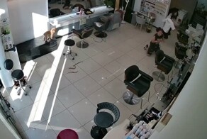 Неудачная попытка починить  фен