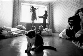 Наши верные спутники-2