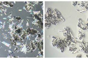 Топ-5 научных новостей за неделю