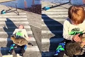 Скорая пушистая помощь