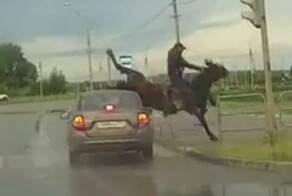 В Магнитогорске автомобиль сбил всадника на лошади