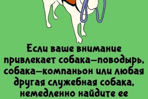 А вдруг ты не знал…