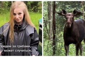 Сходили в лес за грибами⁠⁠
