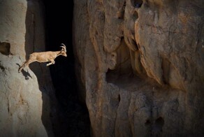 Намешалось