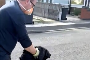 Спасённый голубь врезался в стену
