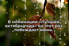 Скрины из соцсетей