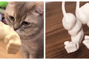 Парень сделал из своего кота настоящего качка