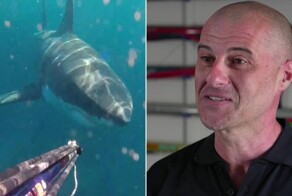 В Австралии рыбак столкнулся под водой с акулой-людоедом и назвал её монстром