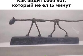 Не ищите здесь смысл. Здесь в основном маразм
