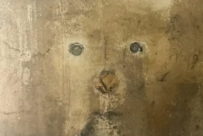 16 примеров парейдолии, превращающей обычные вещи в нечто большее