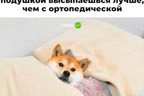 Большая тарелка улыбатора