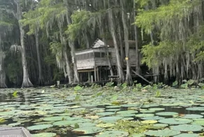 Золотая эпоха природного жемчуга: история озера Каддо