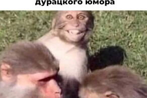 Смешные картинки