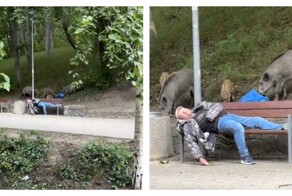 Единение с природой в Польше