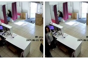 Голубь зашёл в пункт выдачи заказов