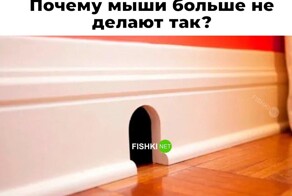 Не ищите здесь смысл. Здесь в основном маразм