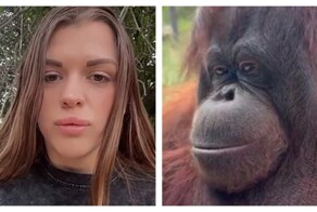 Спортсменка из Краснодара извинилась за инцидент с вейпом и орангутаном