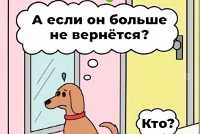 Не ищите здесь смысл. Здесь в основном маразм
