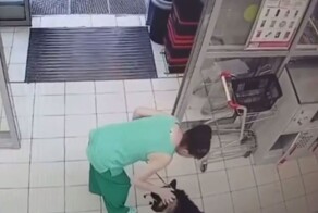 Хаски не захотел покидать магазин в жаркий день