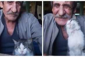 Кот стал лучшим другом дедушки