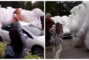 В&nbsp;Подмосковье неизвестный заказал почти 100 аниматоров в&nbsp;костюме медведя