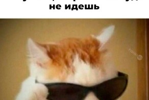 Скрины из соцсетей            