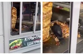Голуби полакомились мясом для шаурмы в ларьке