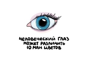 А вдруг ты не знал…