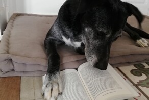 20 уморительных примеров того, что природа обладает отменным чувством юмора