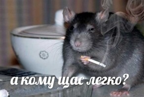 Ученые выяснили, как заставить мышей говорить