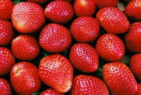 Лесная любительница клубники