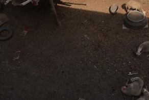 Главное что не Иван