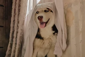 15 мгновений современности, которые поразительно похожи на полотна эпохи Ренессанса