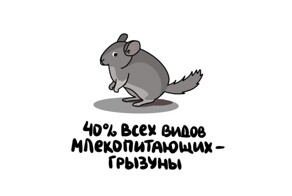 А вдруг ты не знал…