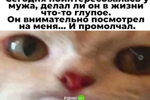 Не ищите здесь смысл. Здесь в основном маразм