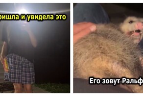 Девушка не в восторге от нового друга её парня