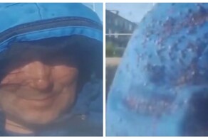 Впечатляющее количество комаров и мошки в Тазовском районе ЯНАО