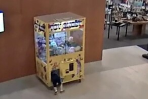 Мальчик залез в автомат с&nbsp;игрушками и застрял