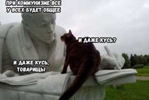 Не ищите здесь смысл. Здесь в основном маразм