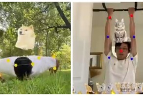 Гений запустил фитнес-сервис, в котором нужно спасать животных упражнениями