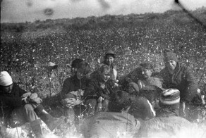 "Романтика" сельхозработ, или первый день на хлопке