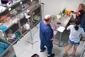 В Челябинске мужчина с пистолетом ворвался в ветклинику