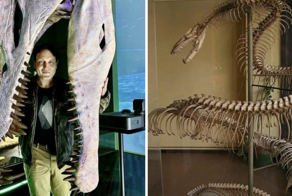 14 жутких доисторических монстры, чьи останки были найдены в разных частях света