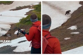 Гиды на Камчатке бьются с медведями за туристов