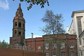 Маугли для северной страны