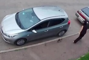 В Петербурге девушка опоздала на работу, потому что кот не давал ей уехать