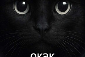 Мессенджер из недружественных: WhatsApp* может исчезнуть уже в августе