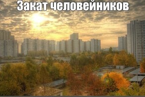 «Человейникам — стоп»: в Госдуме предложили спасать рождаемость малоэтажками