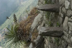 Испытание вертикалью: 17 жутких лестниц, с которых можно не вернуться