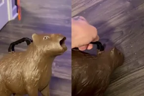 Инженер напечатал на 3D-принтере насадку на пылесос в виде капибары с открытым ртом